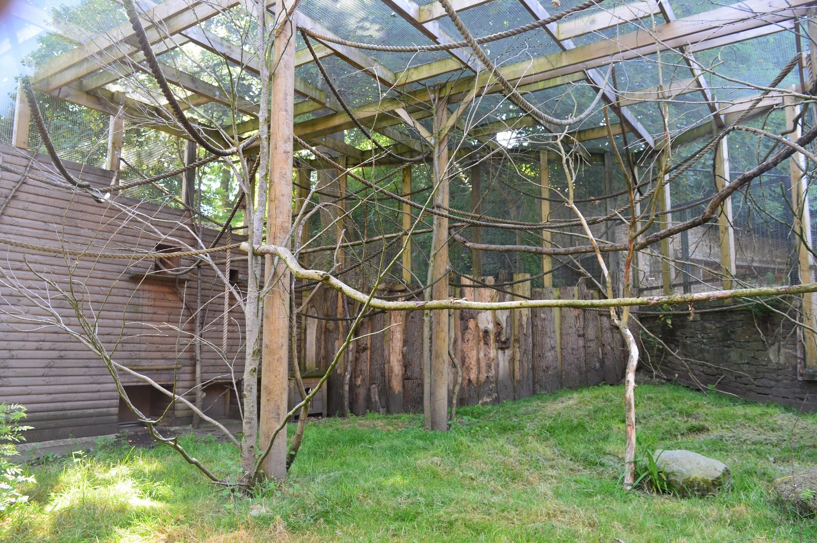 Sloth outdoor enclosure