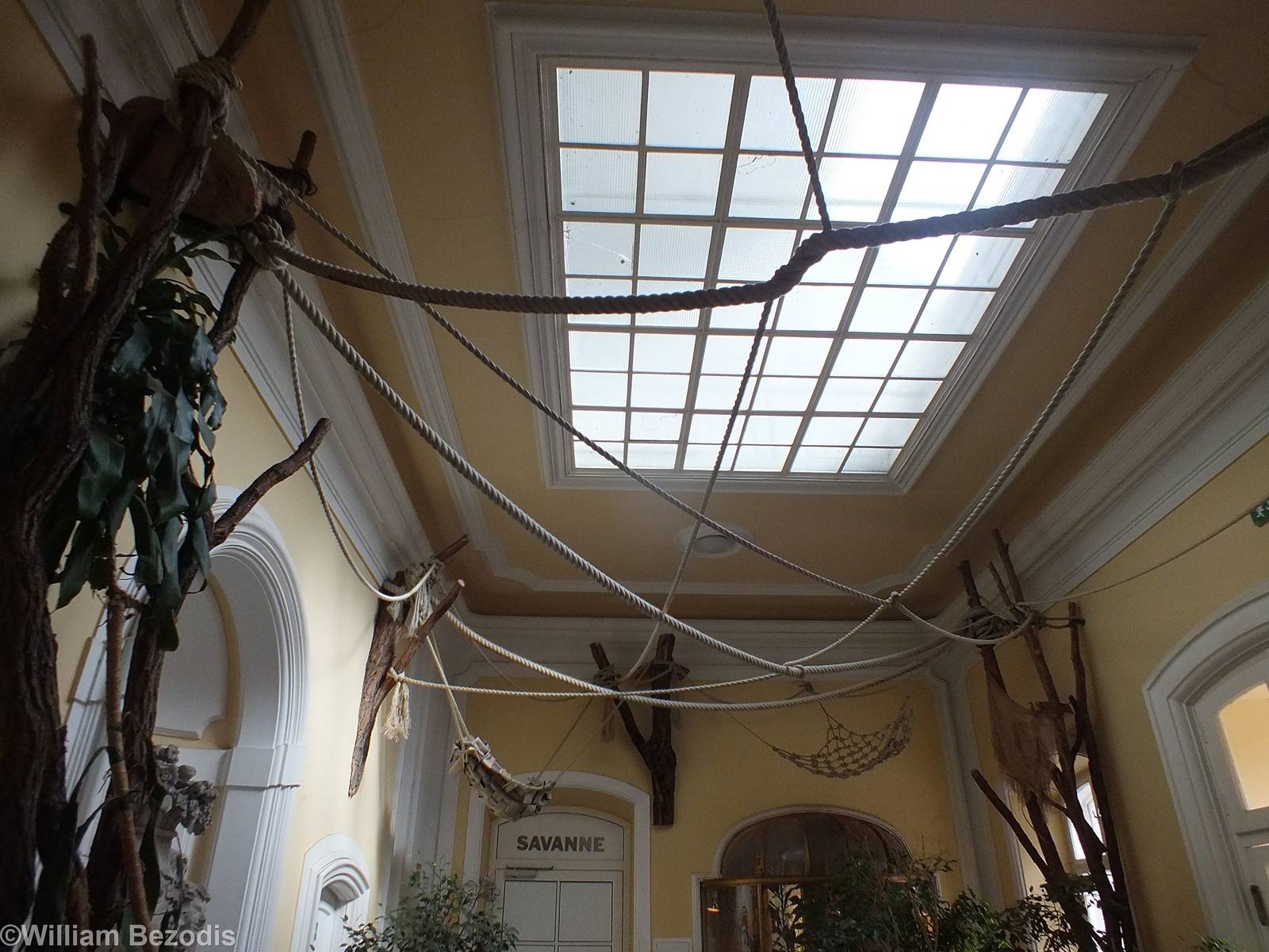 Sloth Room in Bird House