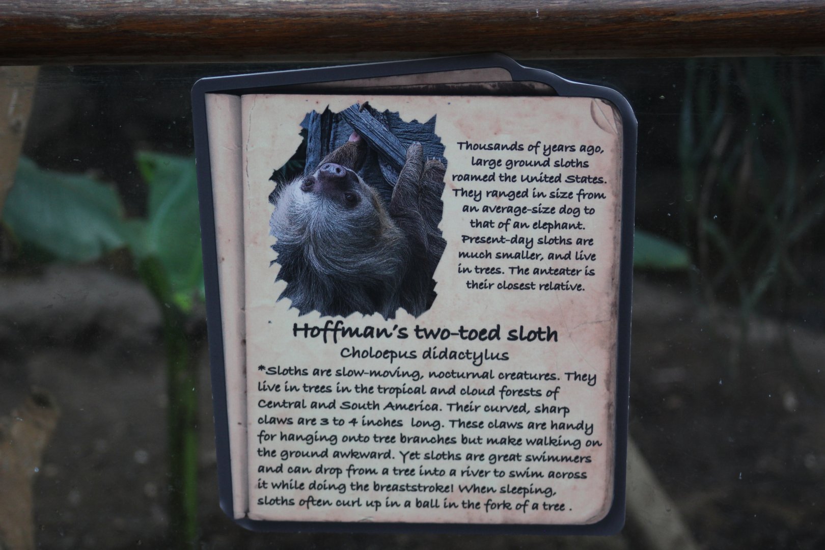 Sloth Signage