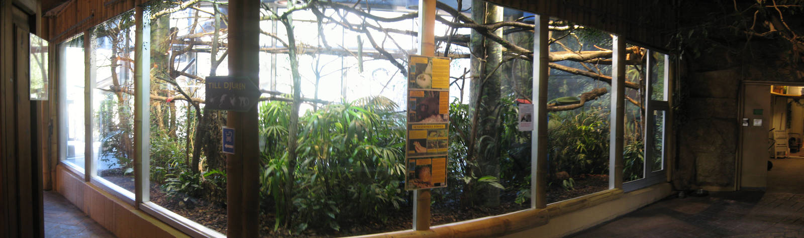 Sloth, Titi and Pygmy Marmoset