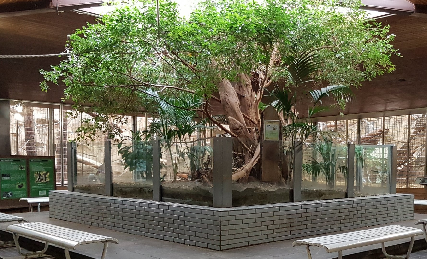 Sloth - Tortoise enclosure