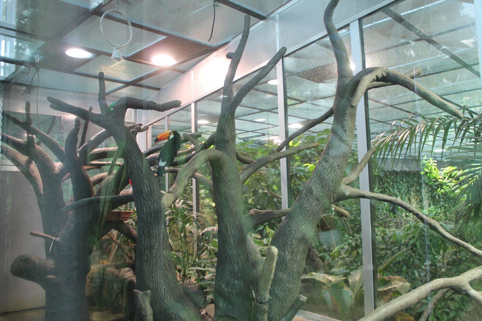 Sloth/Toucan enclosure