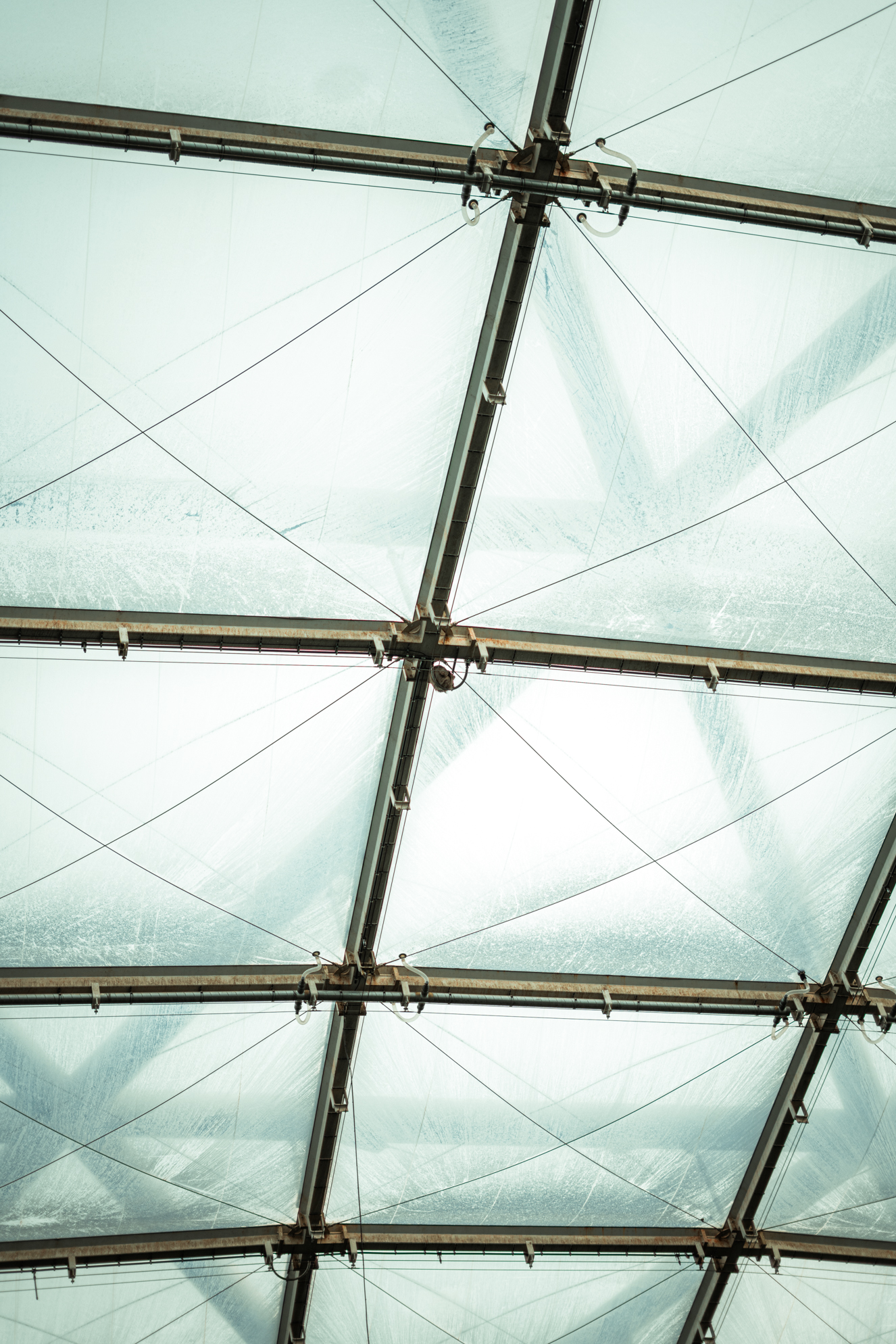 Sloth under the roof