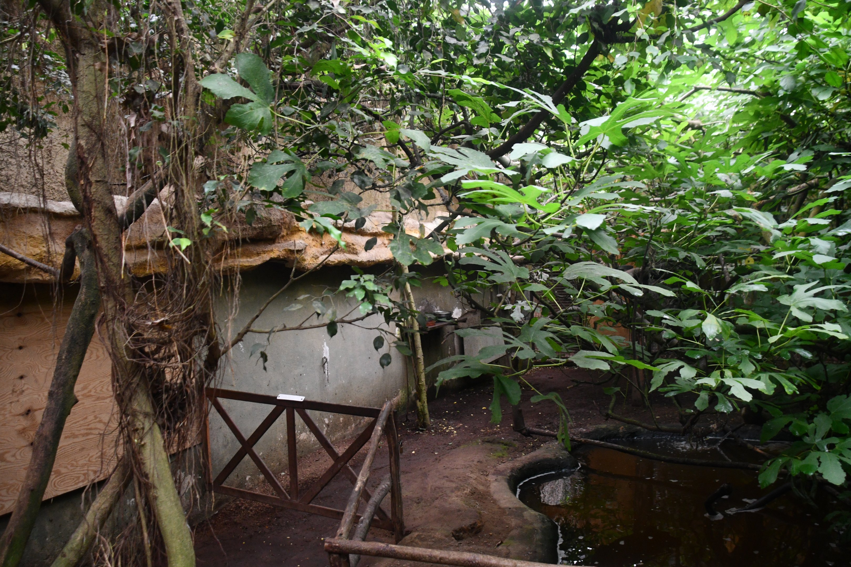 Sloth walk-through exhibit