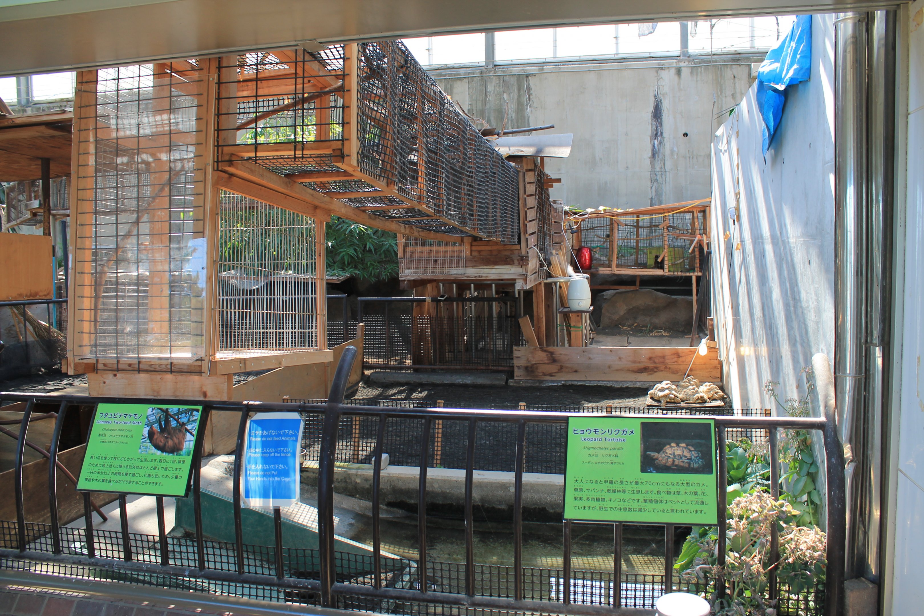 Sloths/tortoises - Oshima Park Zoo
