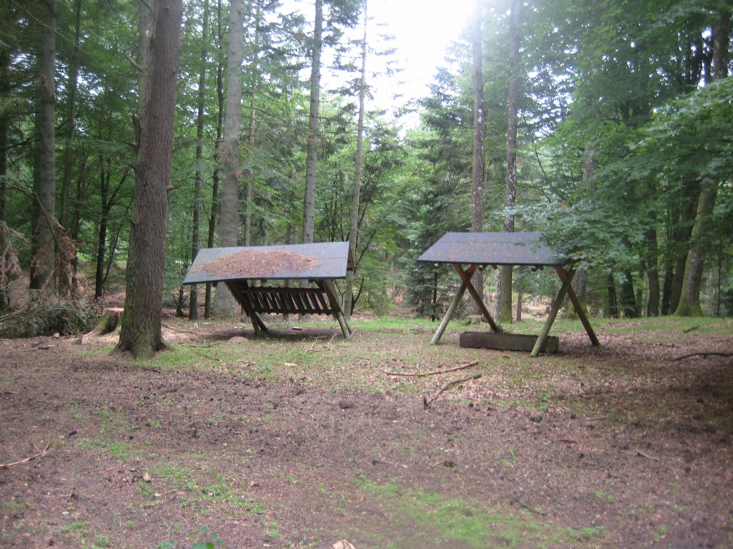 Slotved Skov Dyrehave - Feeding station