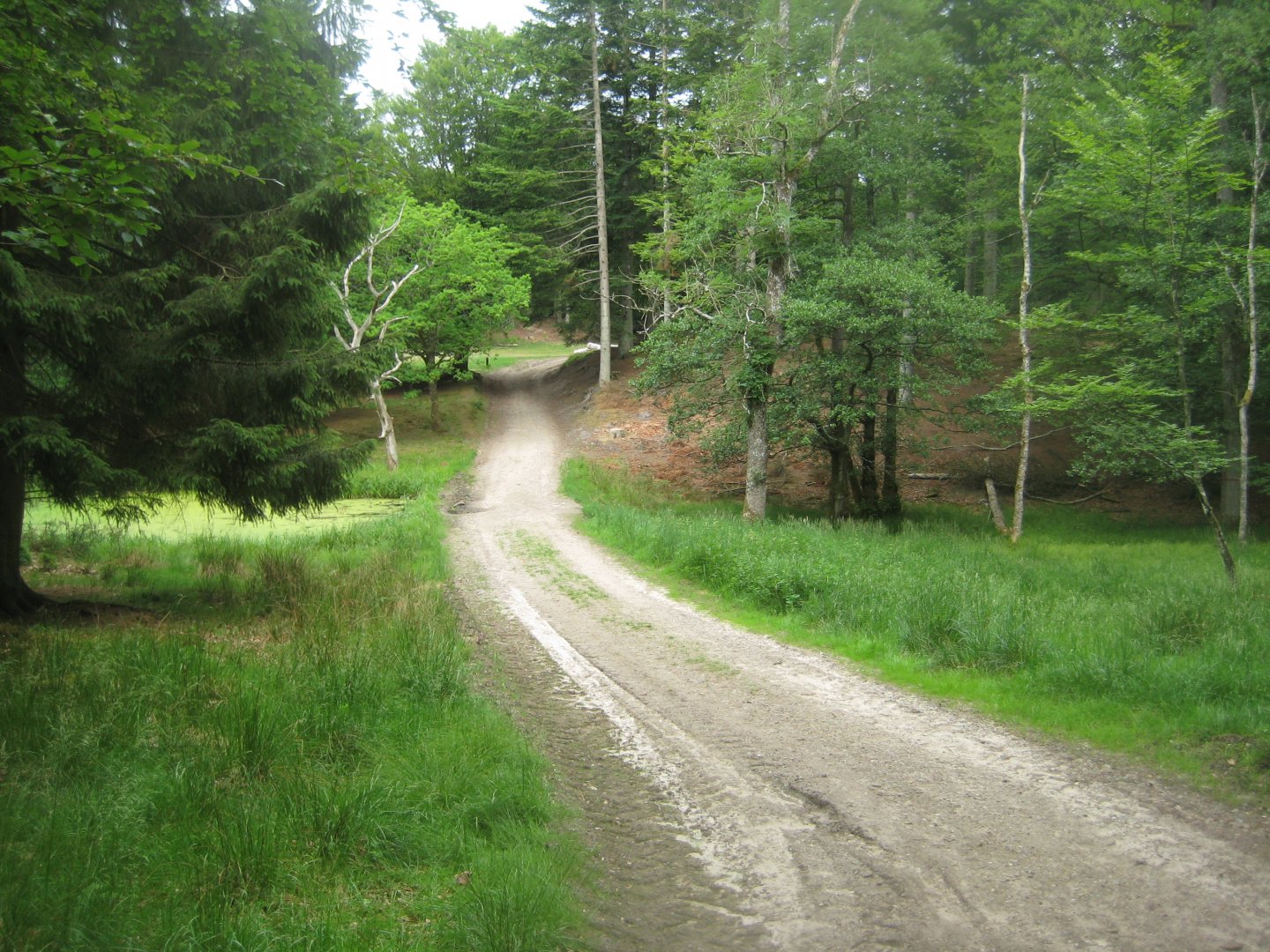 Slotved Skov Dyrehave - General view