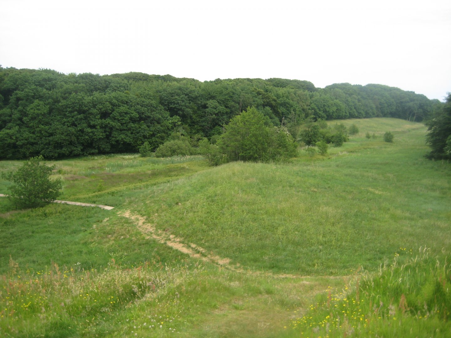 Slotved Skov Dyrehave - General view