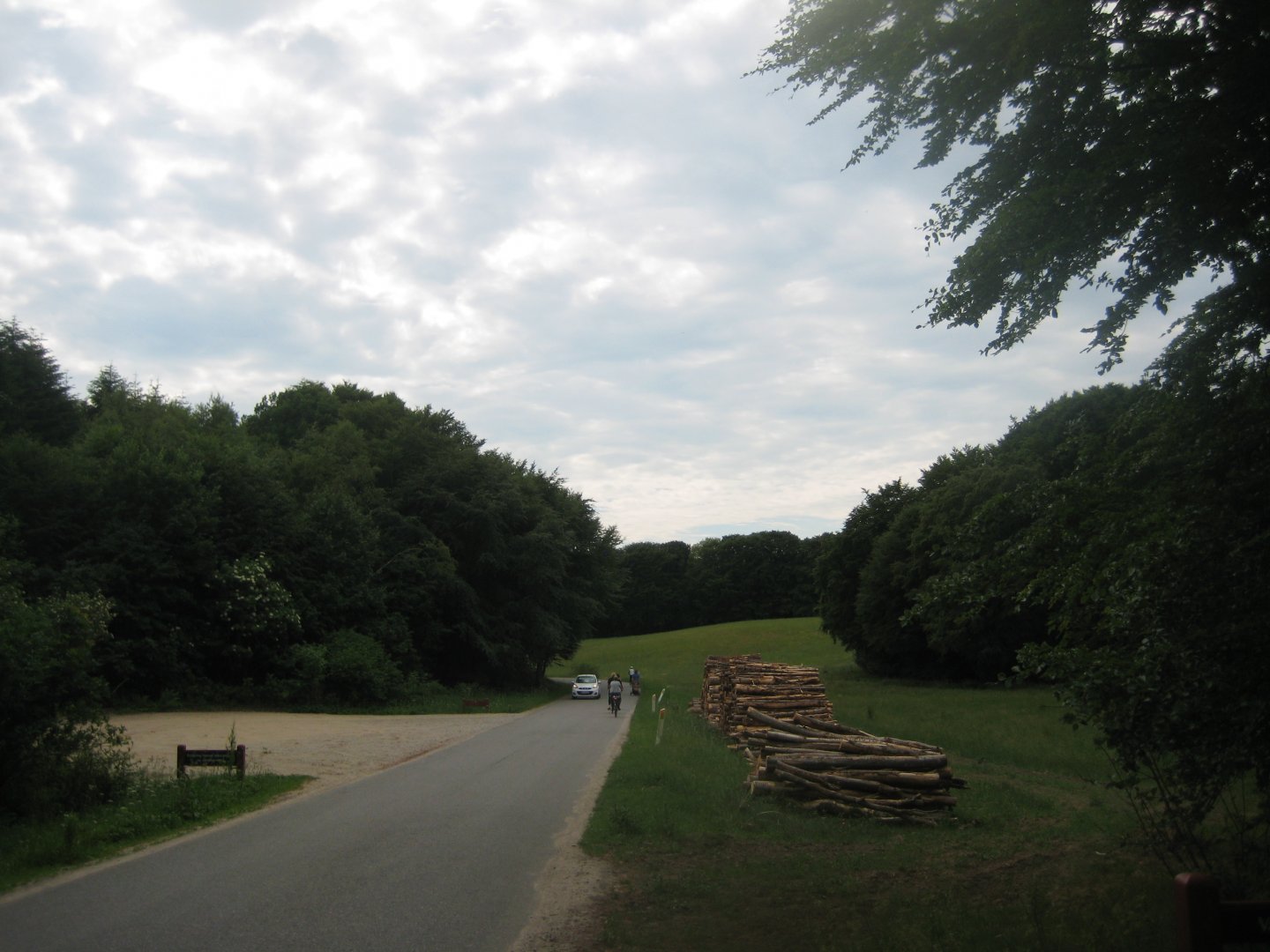 Slotved Skov Dyrehave - General view