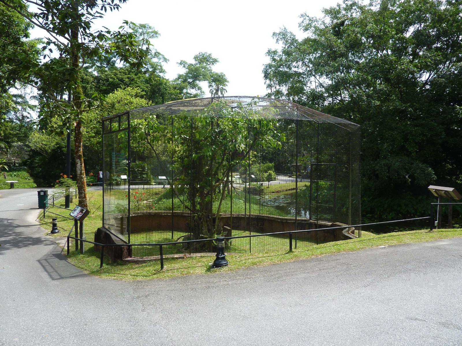 Slow loris enclosure, May 2013