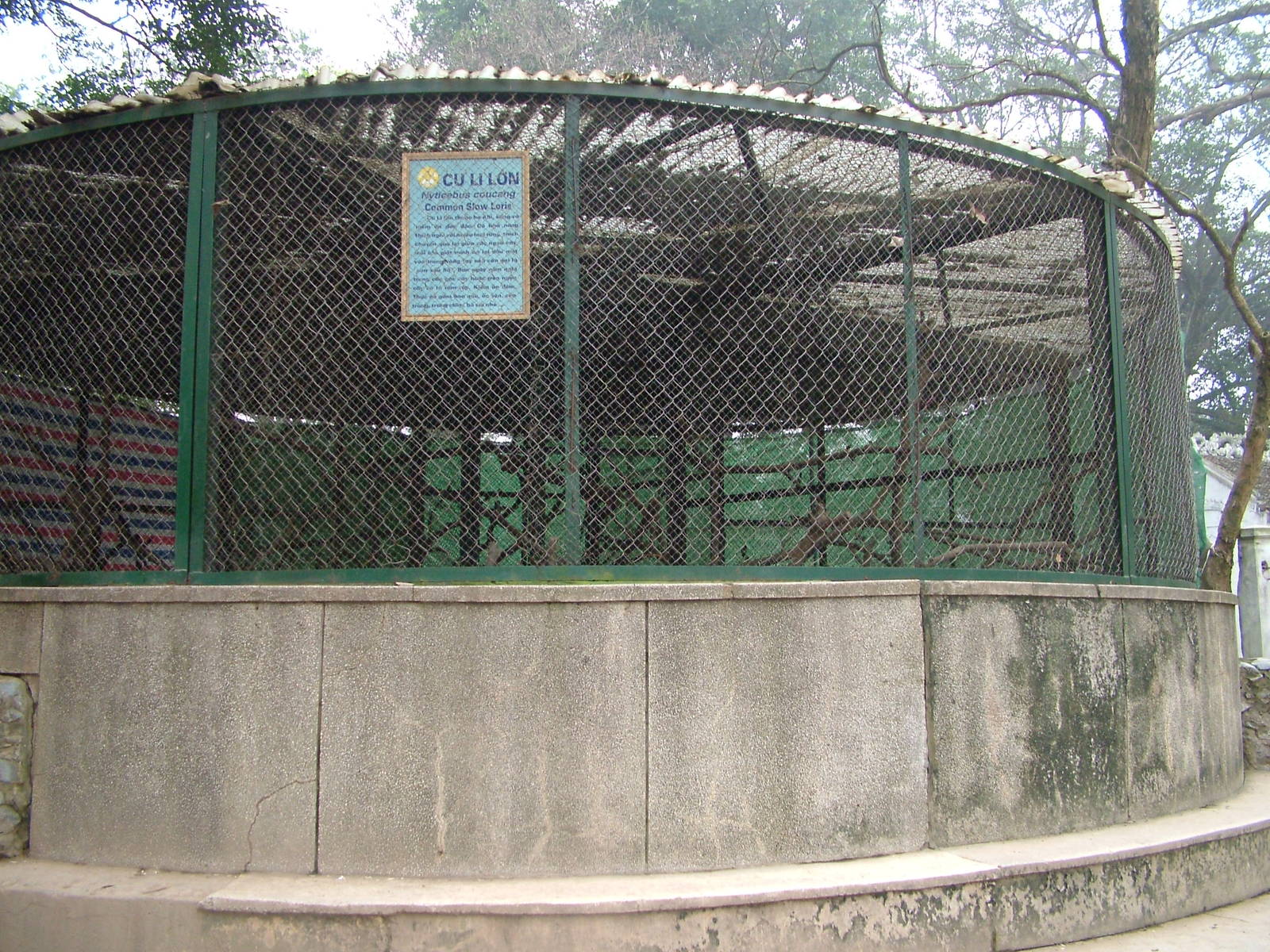 Slow Loris Exhibit Exterior at Hanoi Zoo, 15/03/12