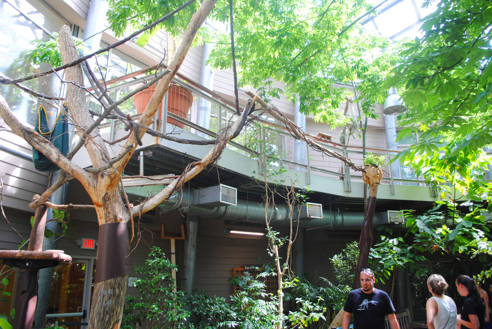 Slow Moes Exhibit Expansion