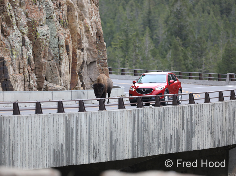 slower traffic keep right