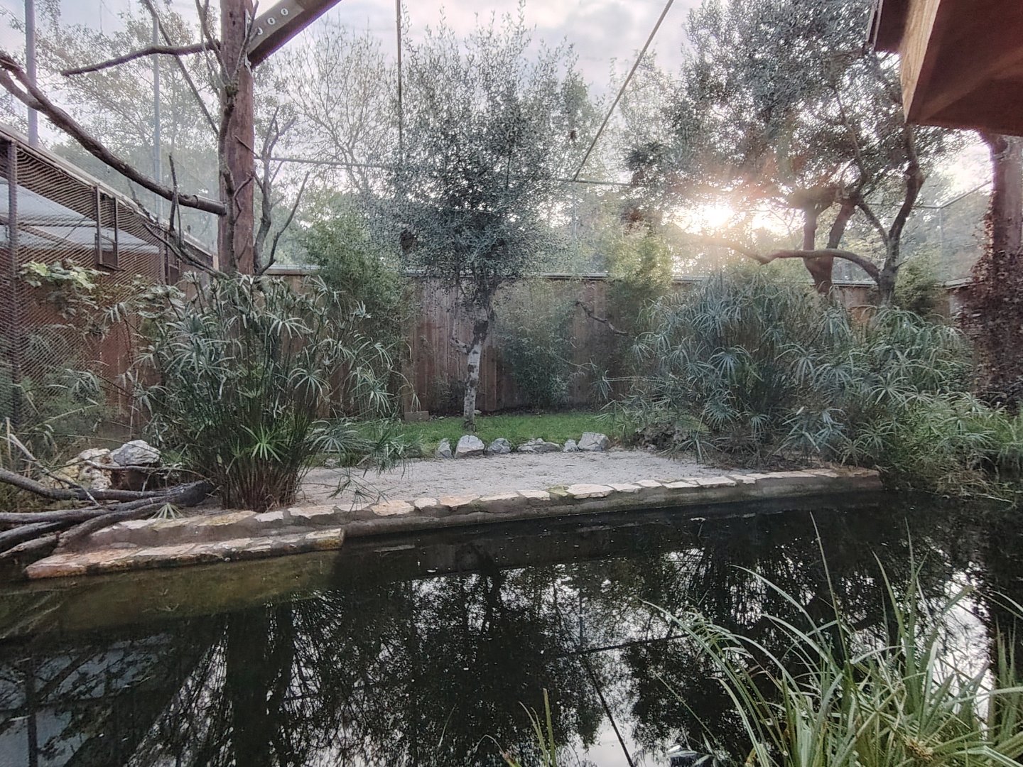 Small African Aviary (specie list in comment)