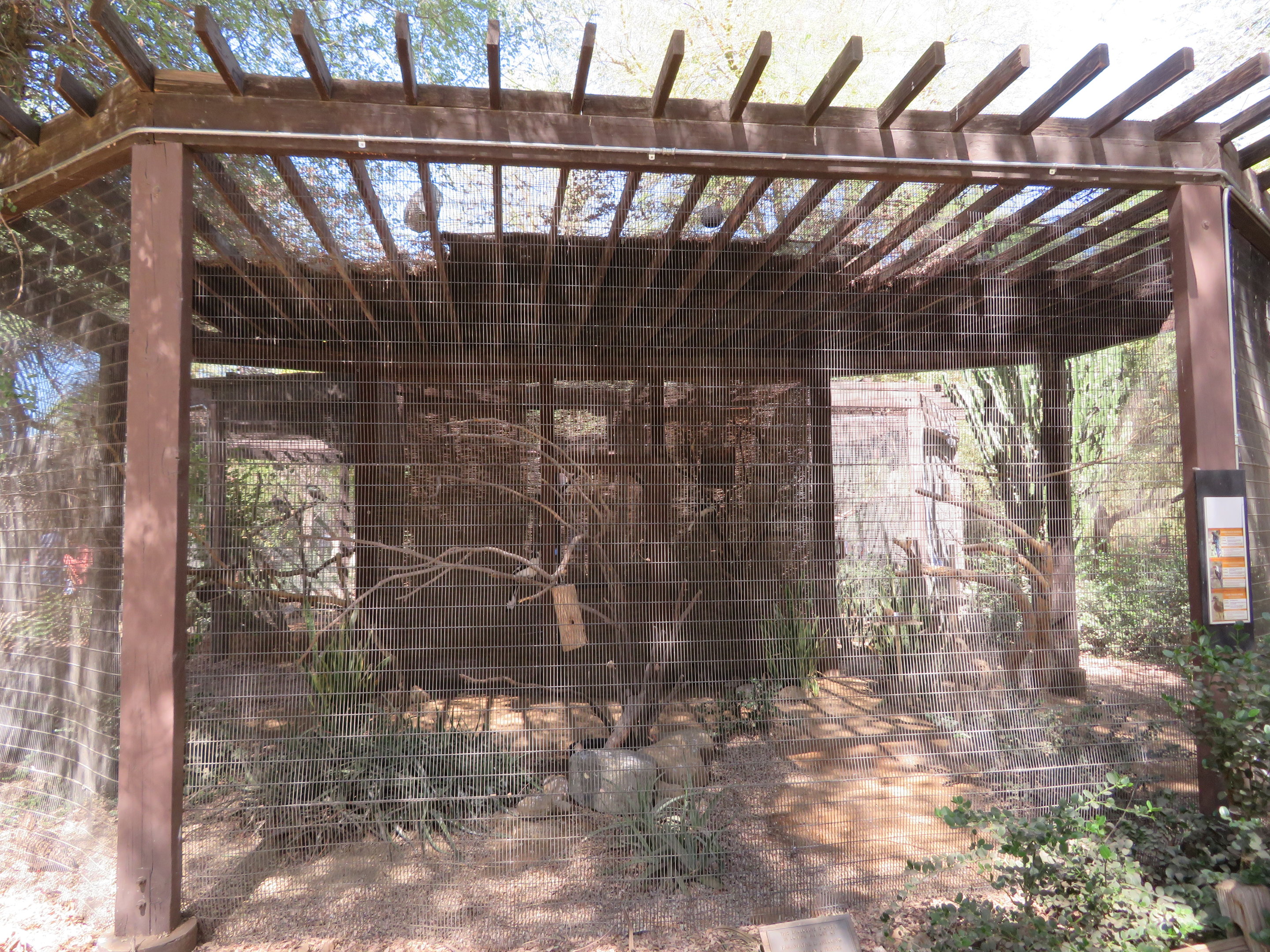 Small African Aviary