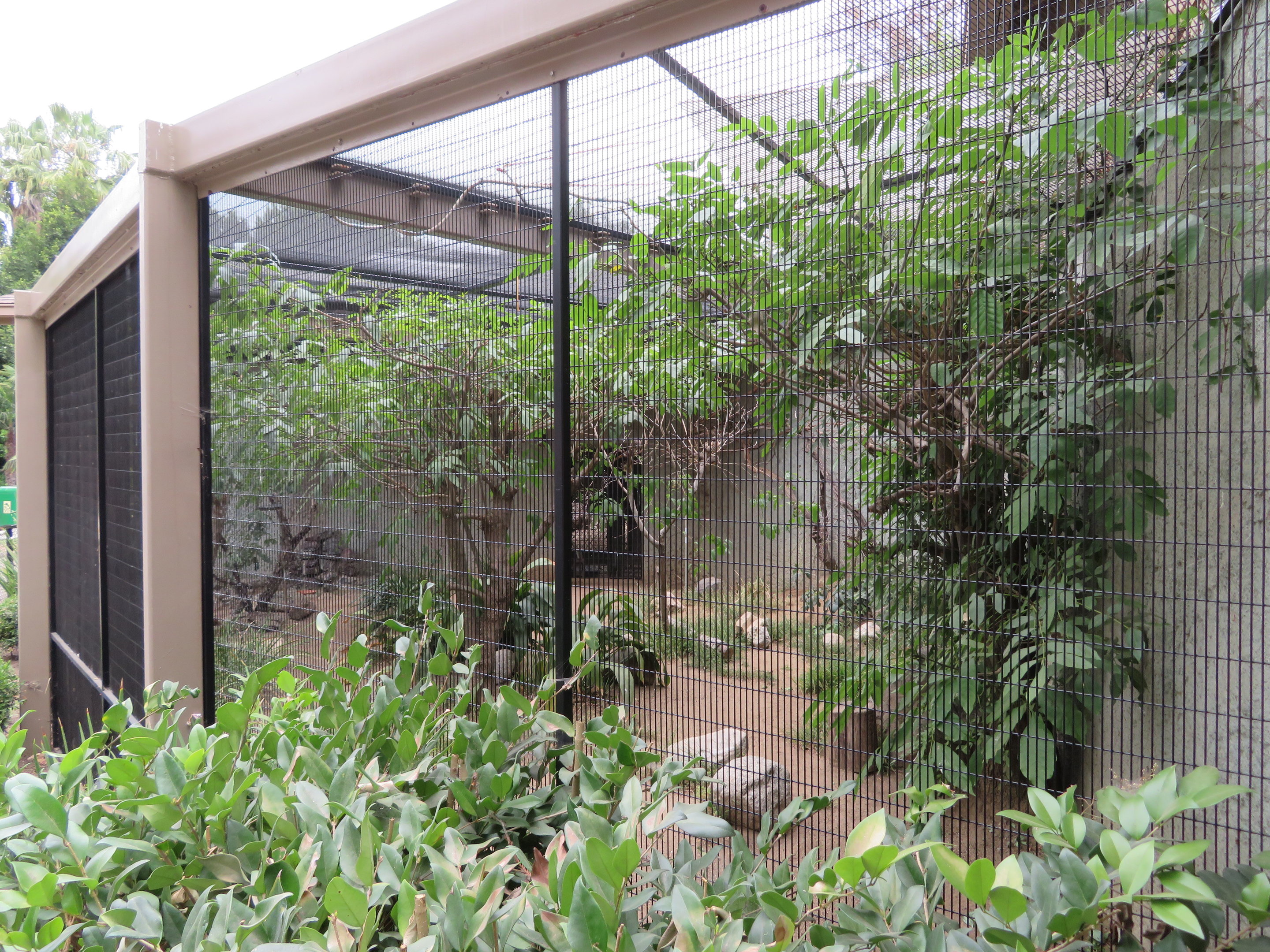 Small African Aviary