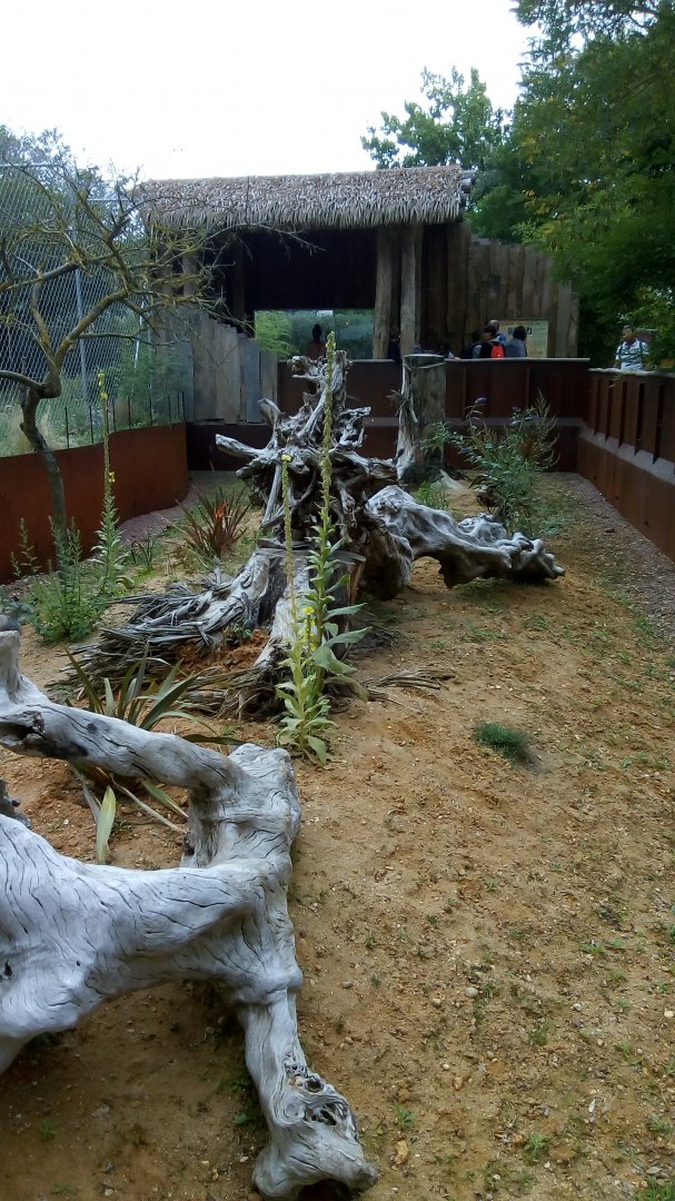 Small African Carnivores Exhibit