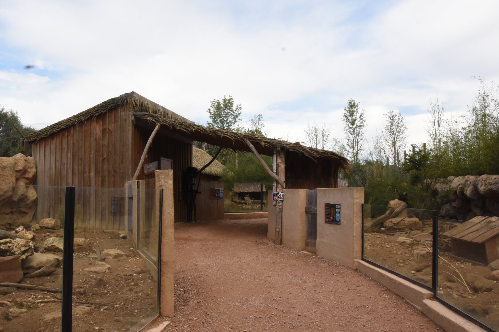 Small African mammals