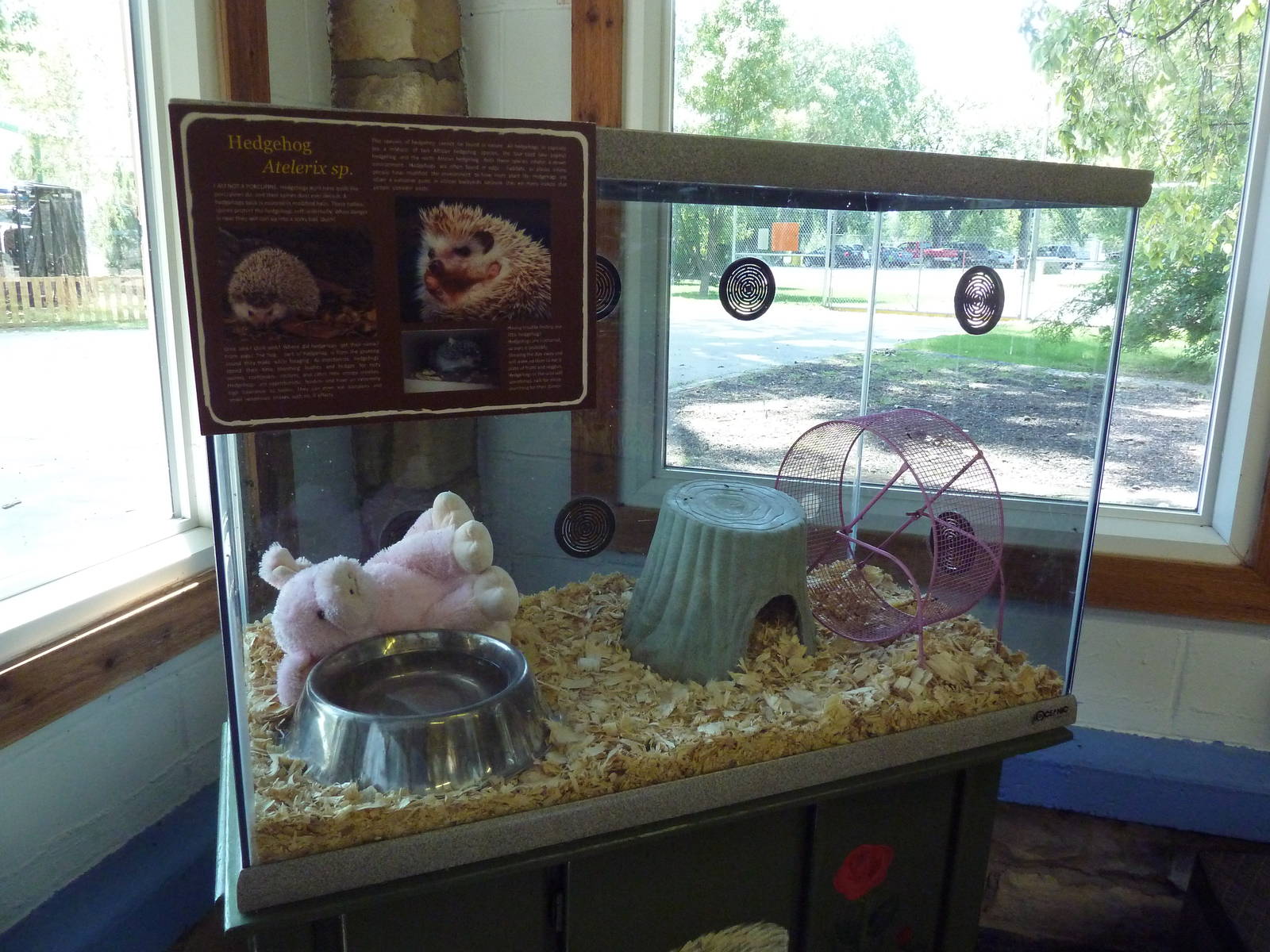 Small Animal Building - African Hedgehog Exhibit