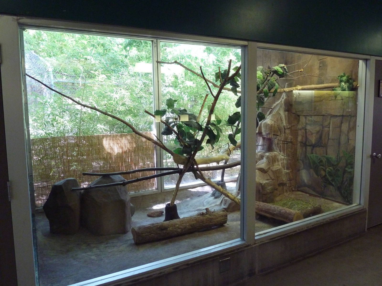 Small Animal Building - Arabian Wild Cat Exhibit
