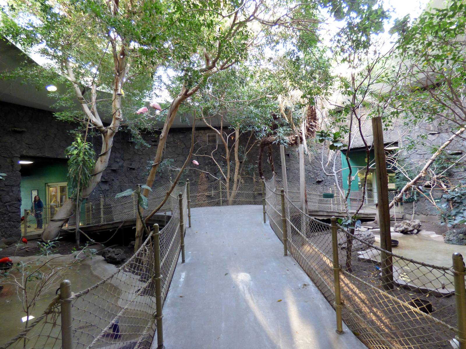 Small Animal Building Aviary