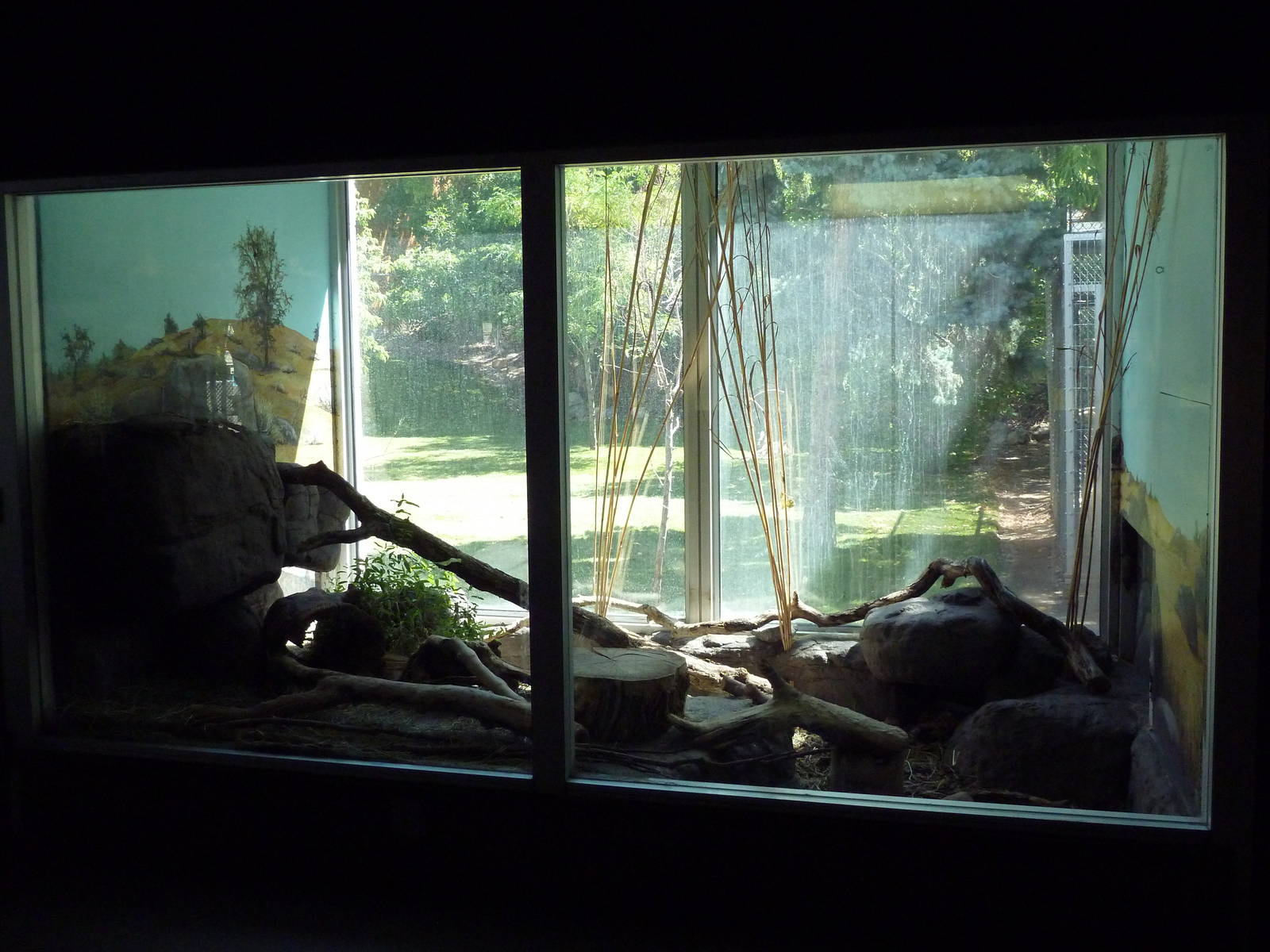 Small Animal Building - Black-Footed Cat Exhibit