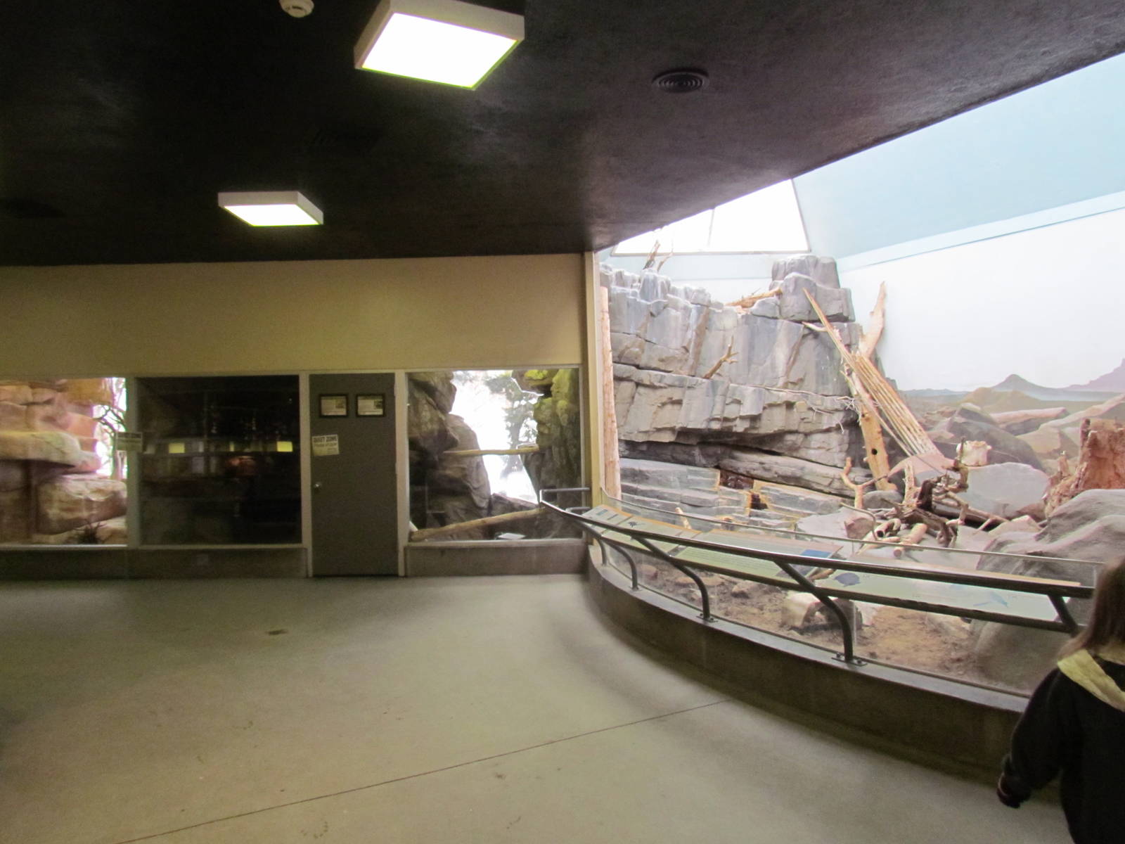 Small Animal Building - Desert Exhibit