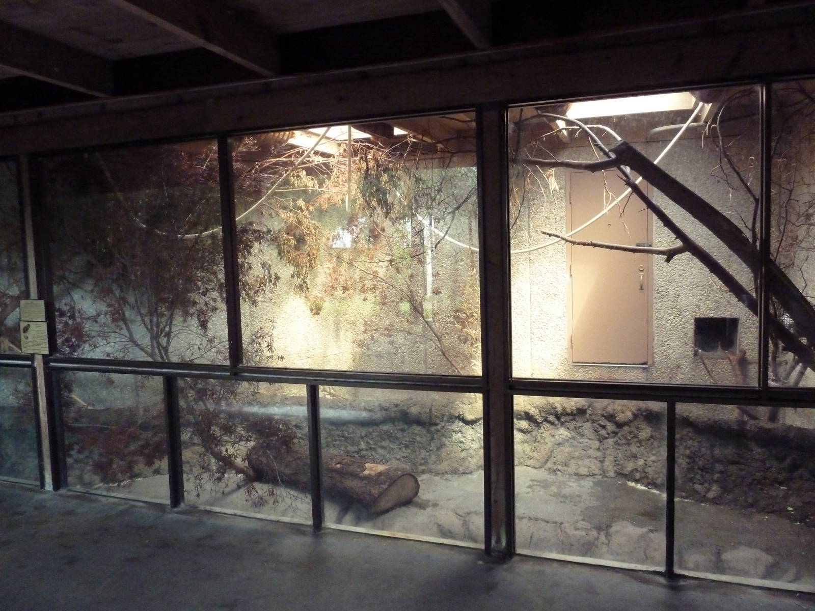 Small Animal Building - Goeldi's Monkey Exhibit