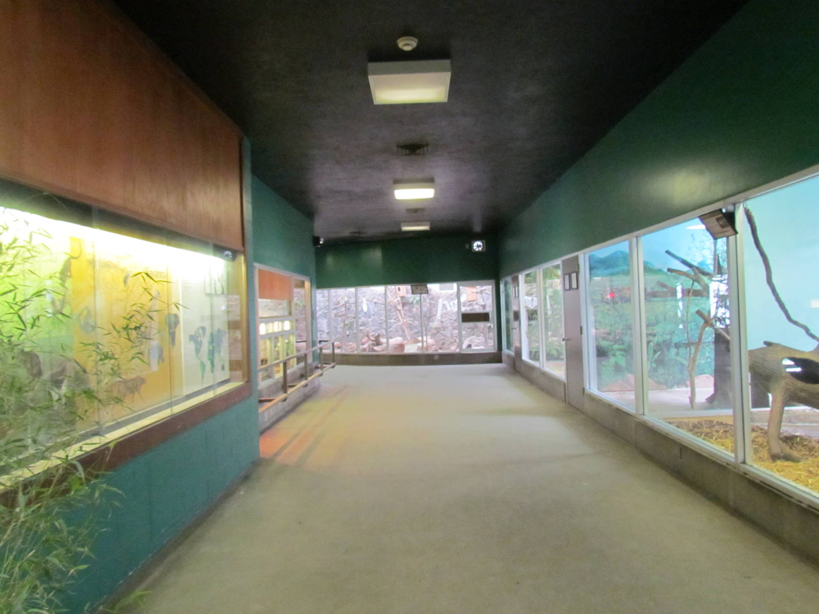 Small Animal Building - Hallway