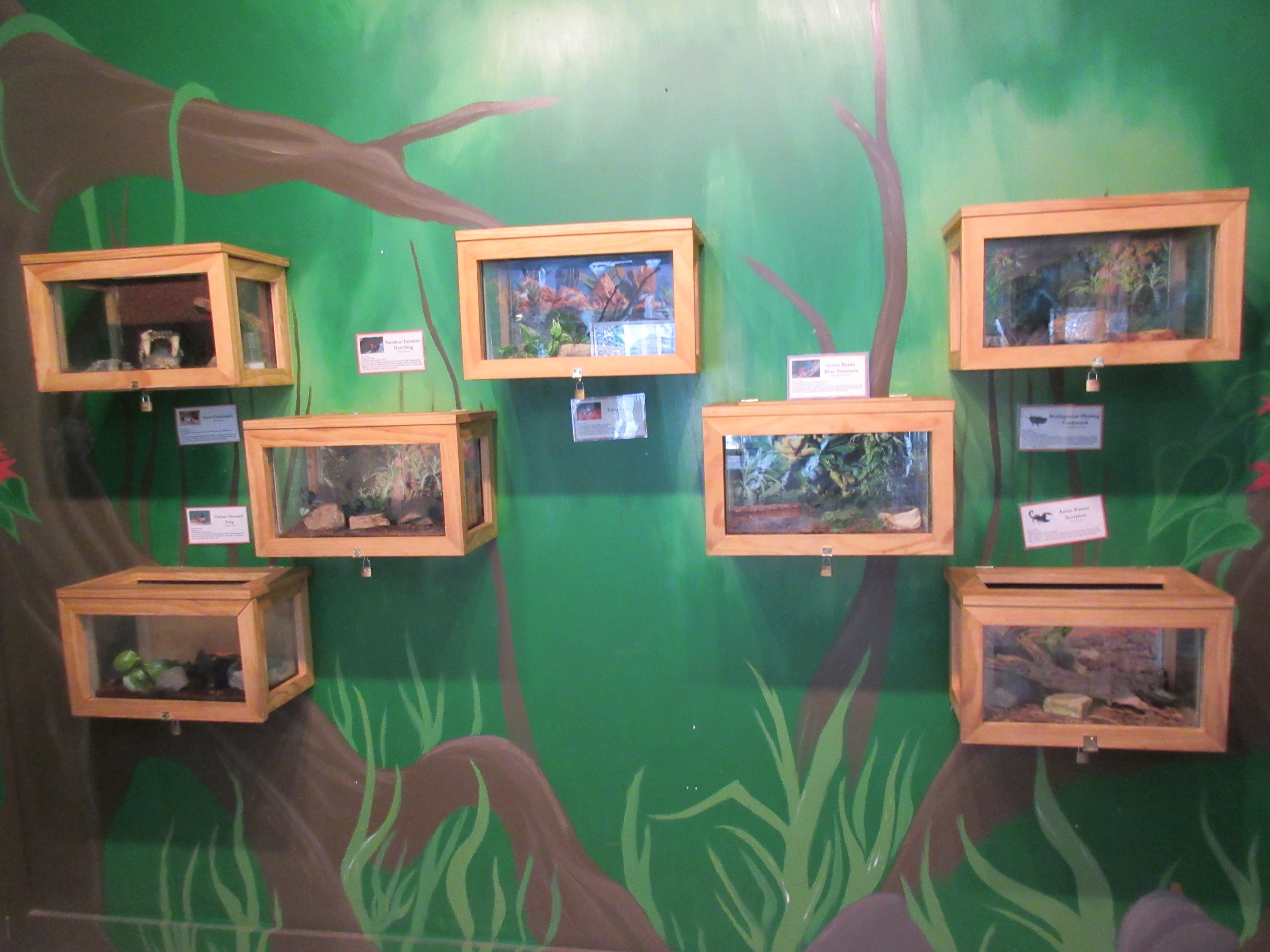 Small Animal Building - Invertebrate Terrariums