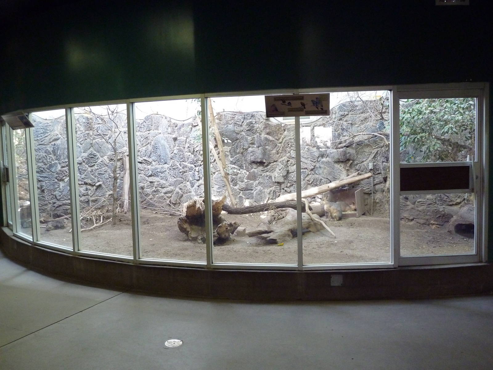 Small Animal Building - Mara Exhibit