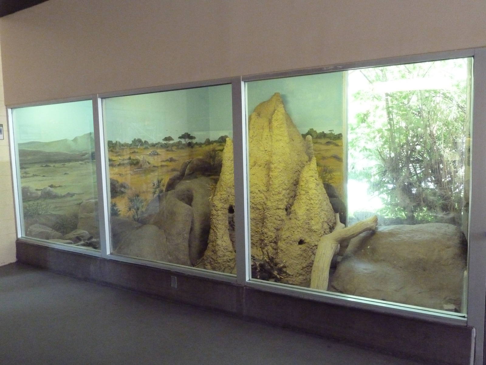 Small Animal Building - Meerkat Exhibit