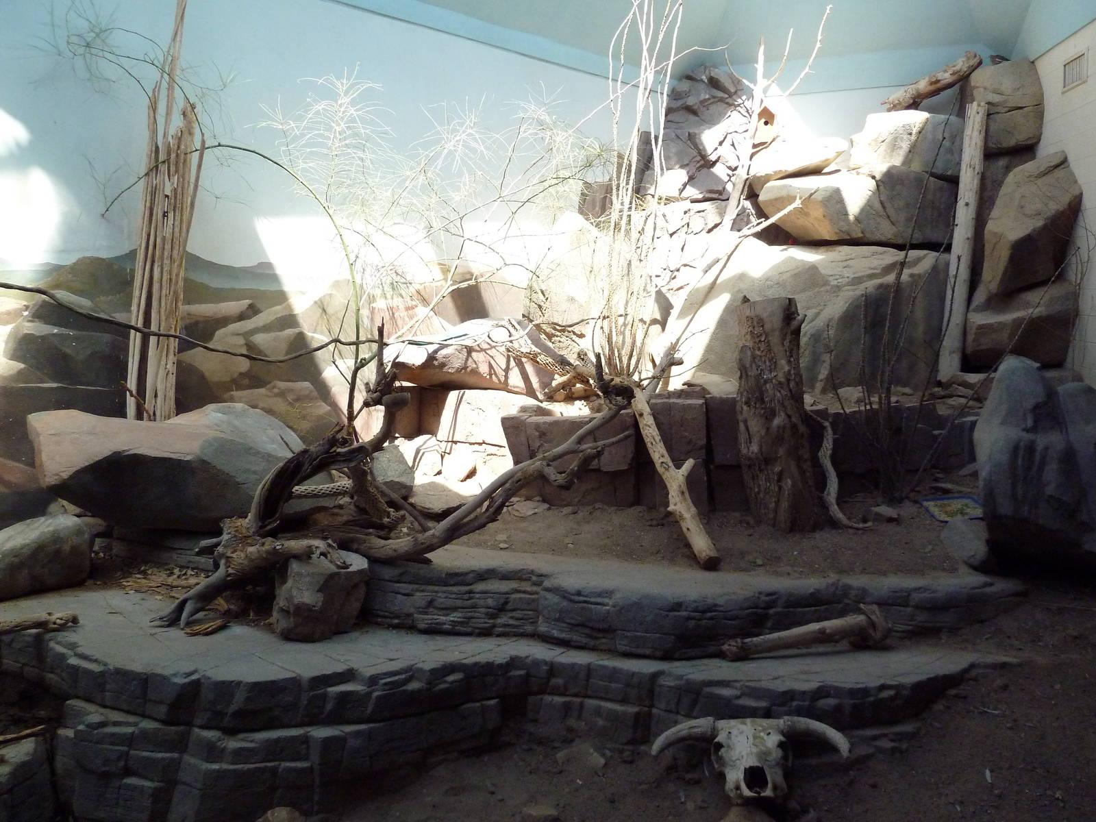 Small Animal Building - Mixed-Species Exhibit