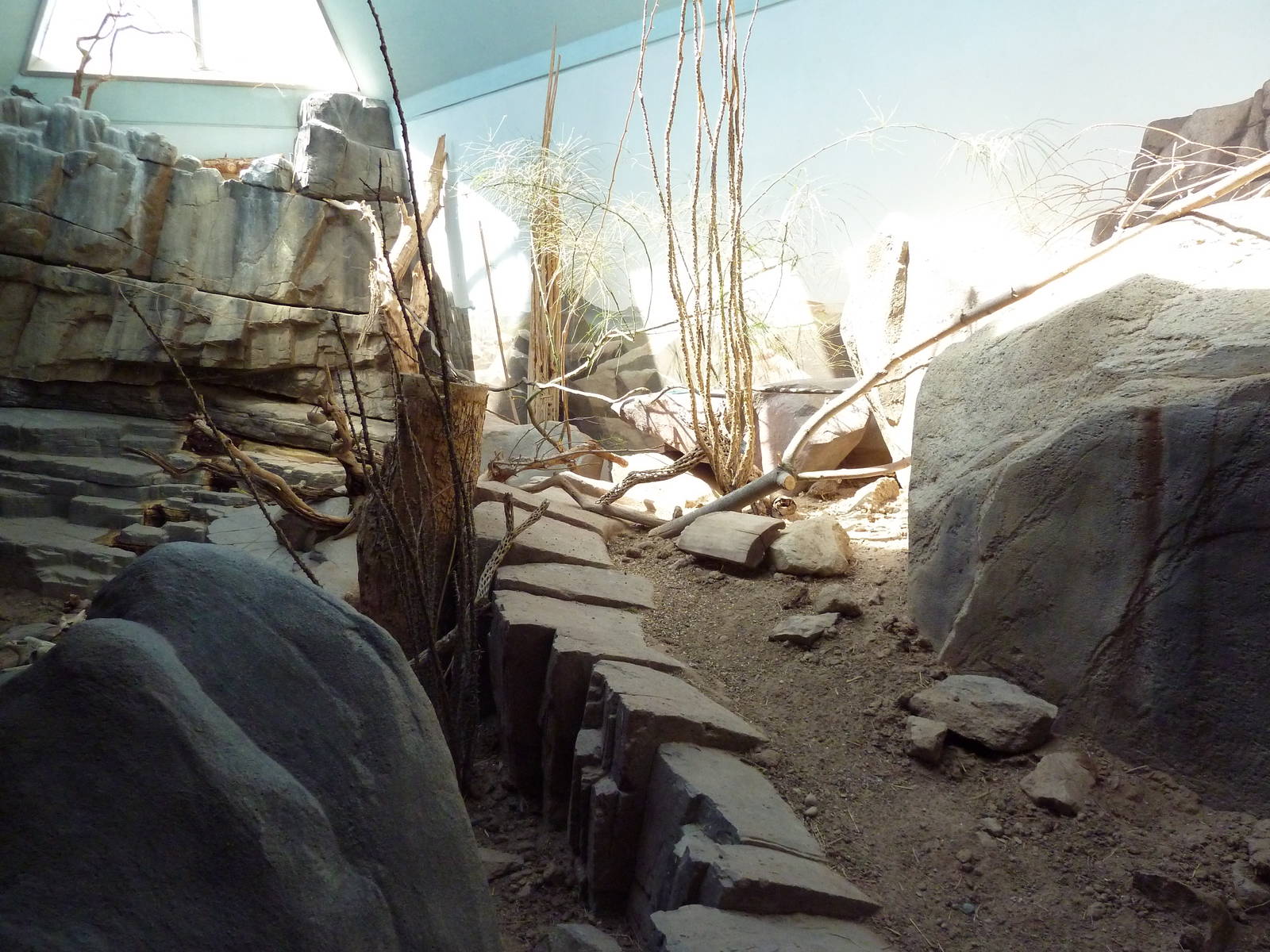 Small Animal Building - Mixed-Species Exhibit