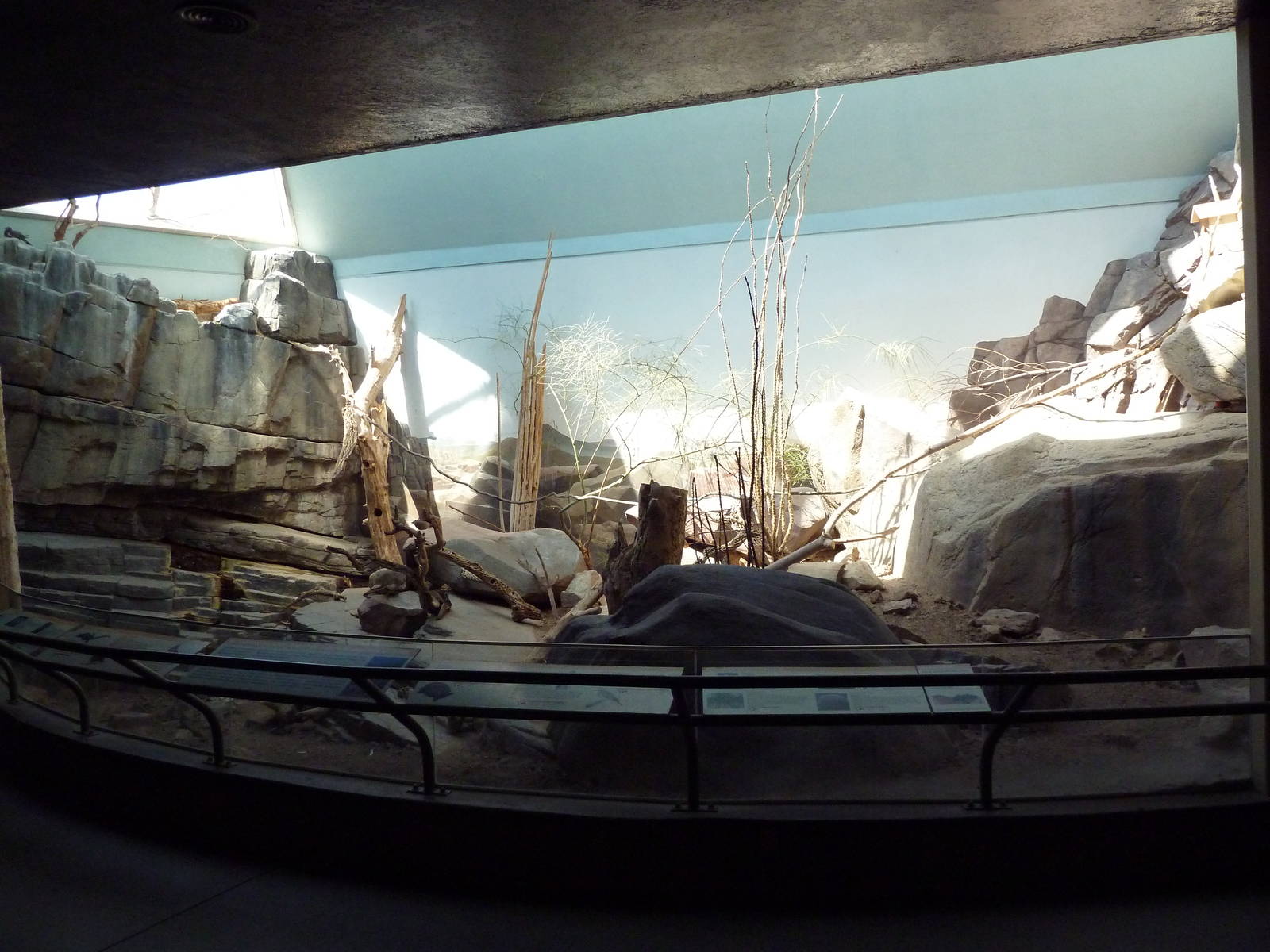 Small Animal Building - Mixed-Species Exhibit