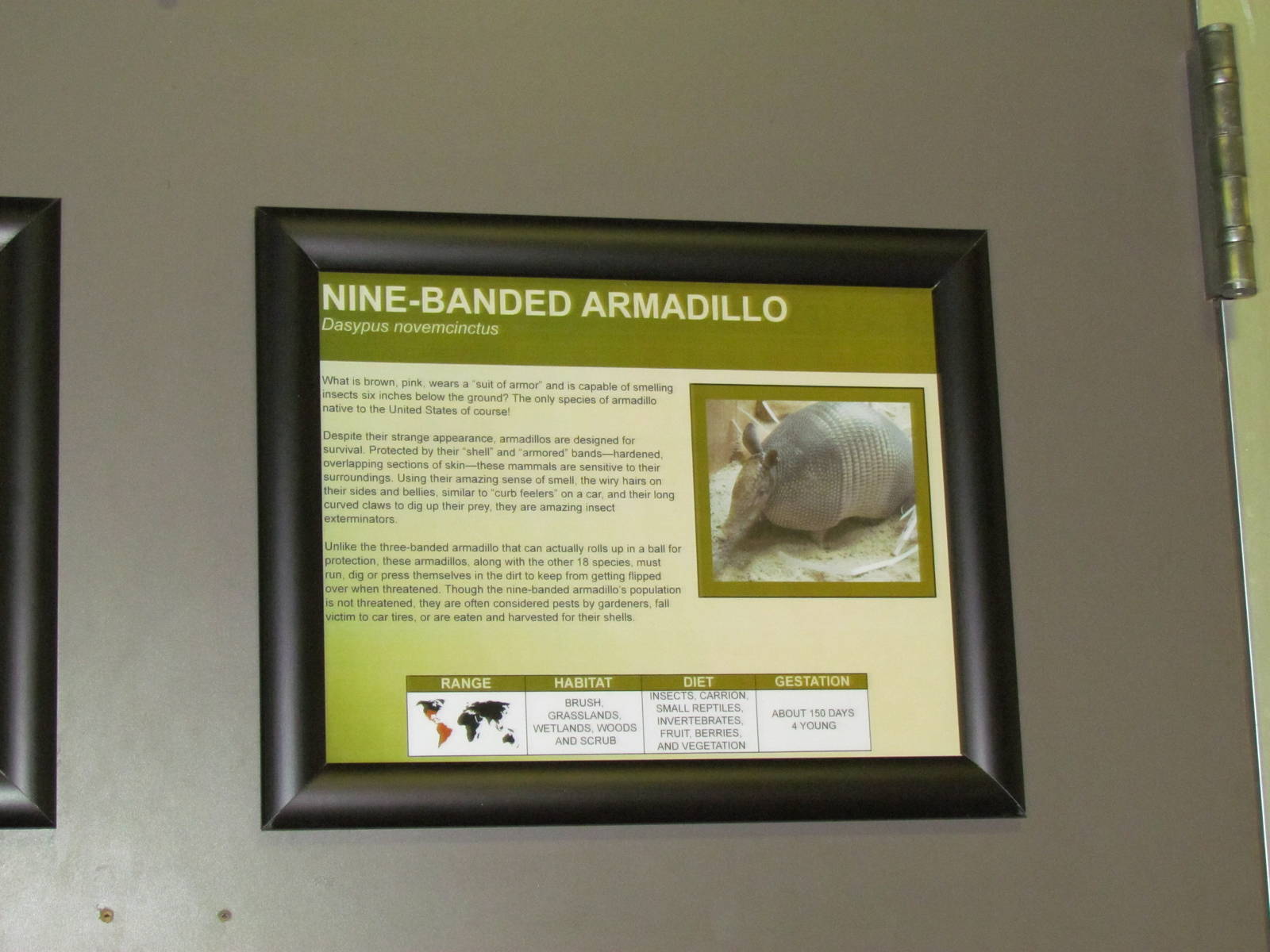 Small Animal Building - Signage Example