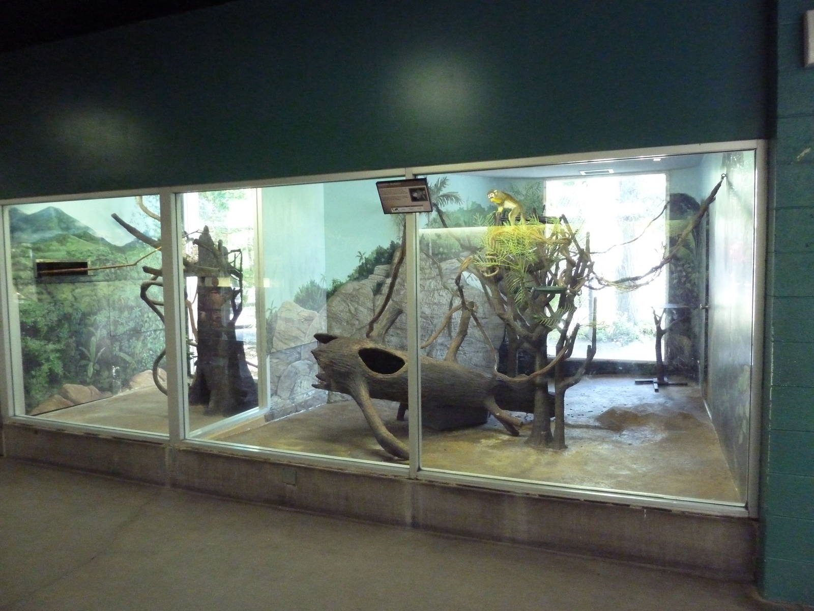 Small Animal Building - Squirrel Monkey Exhibit