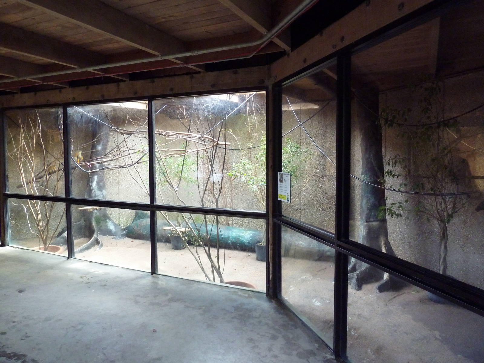 Small Animal Building - Squirrel Monkey Exhibit