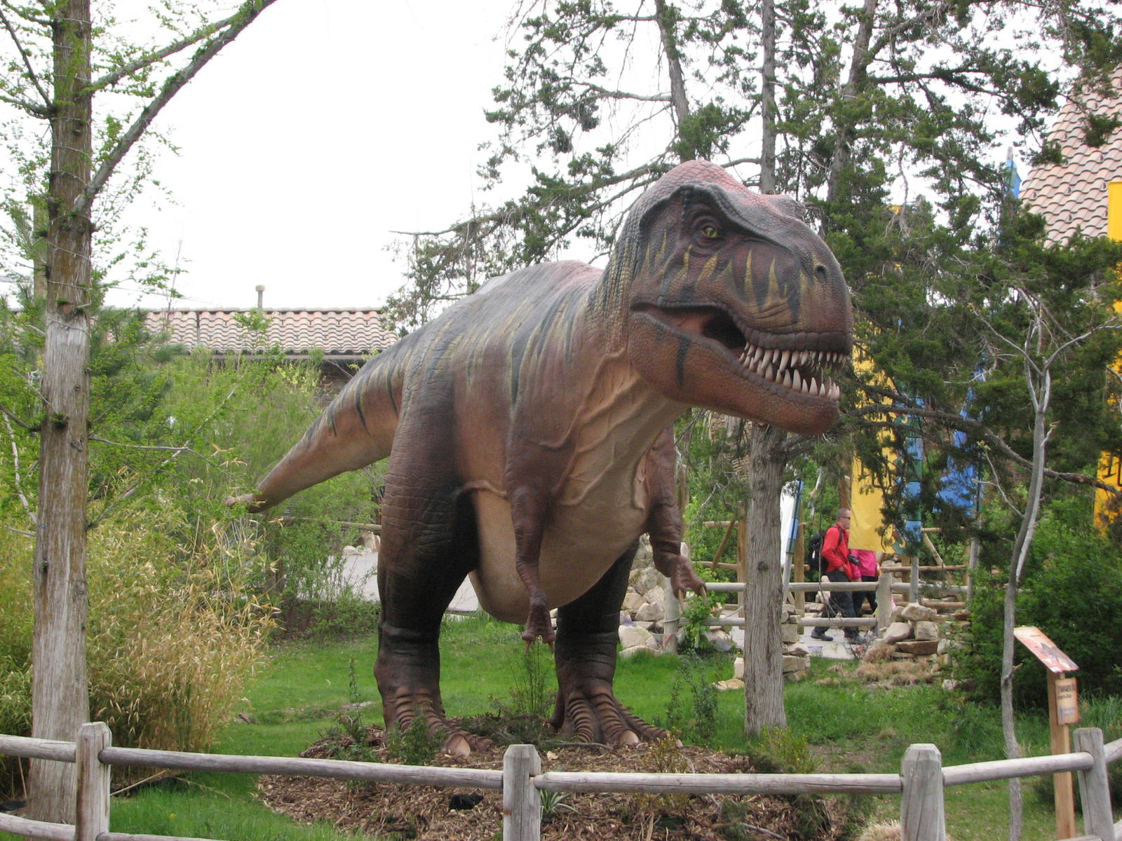 Small Animal Building - Zoorassic Park