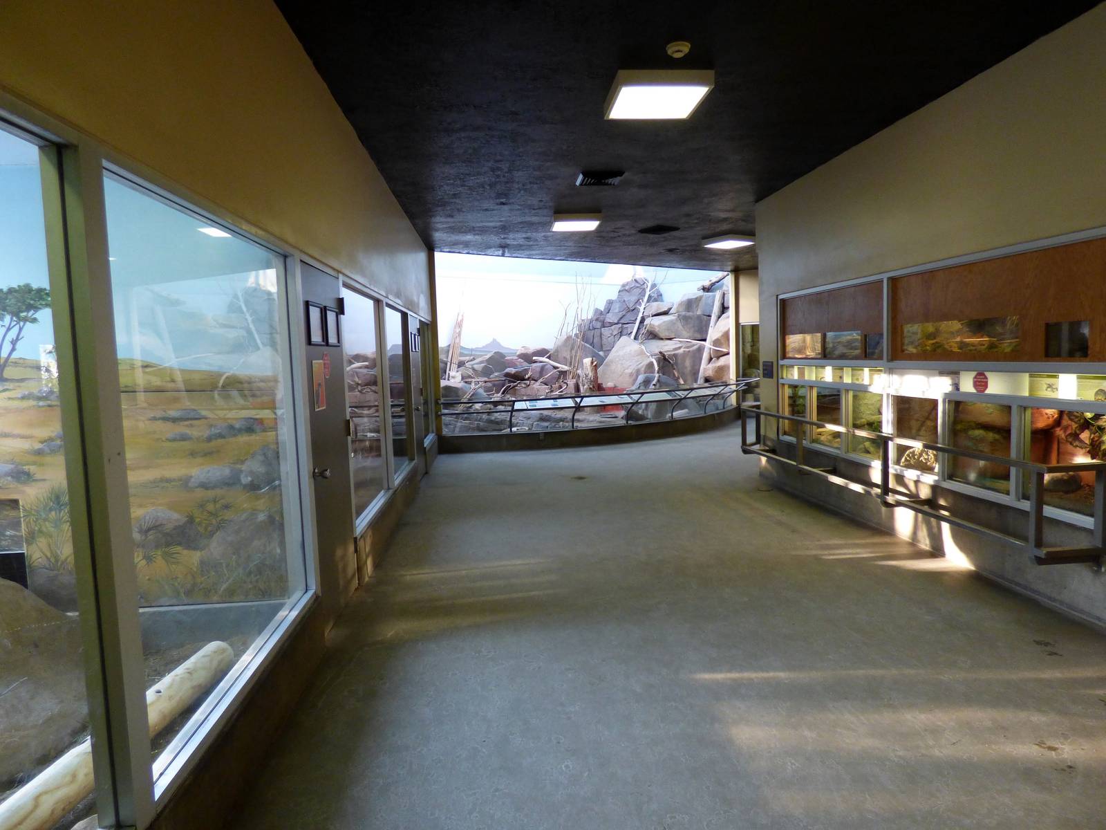 Small Animal Building