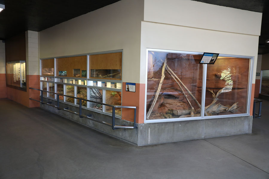 small animal building