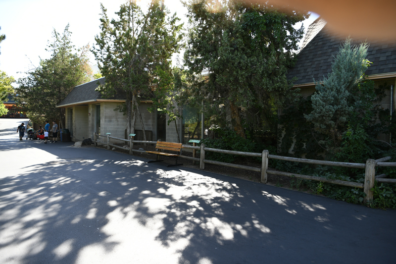 small animal building