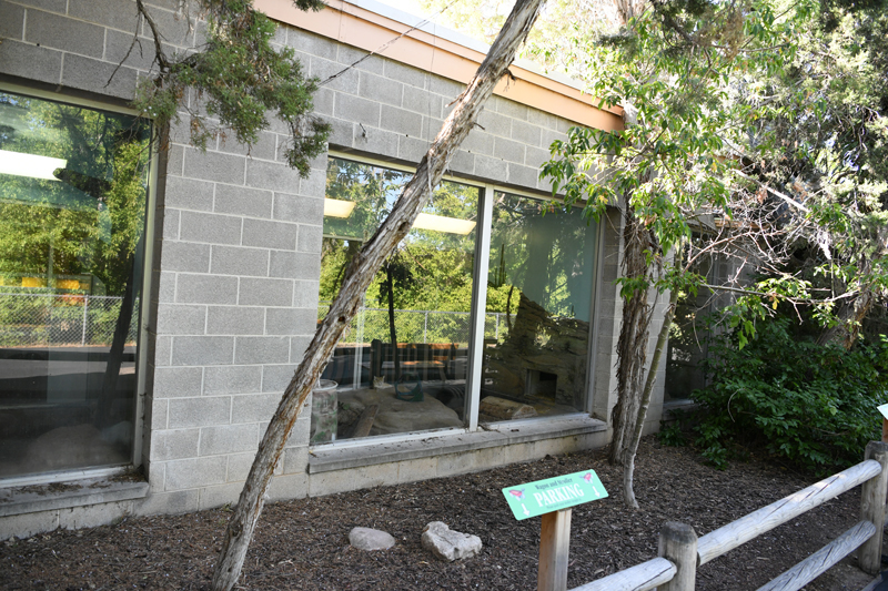 small animal building