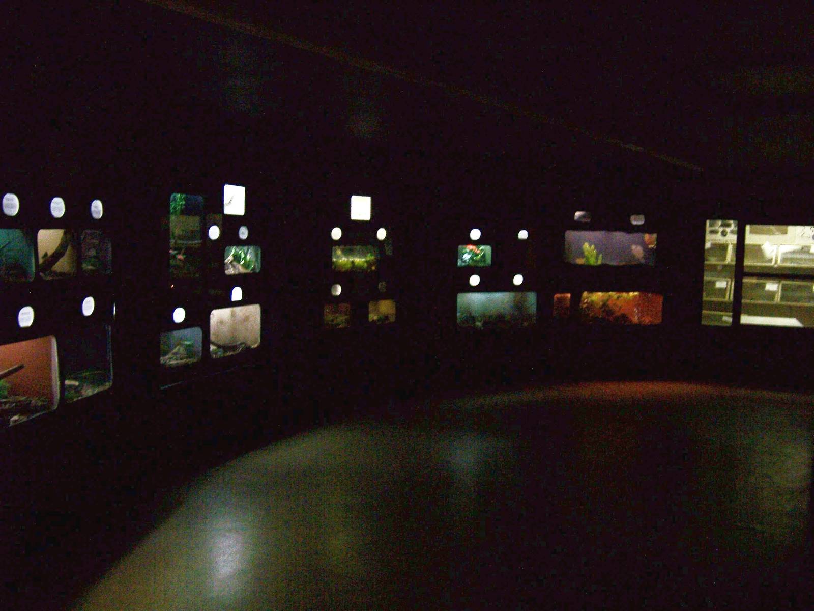 Small Animal Building