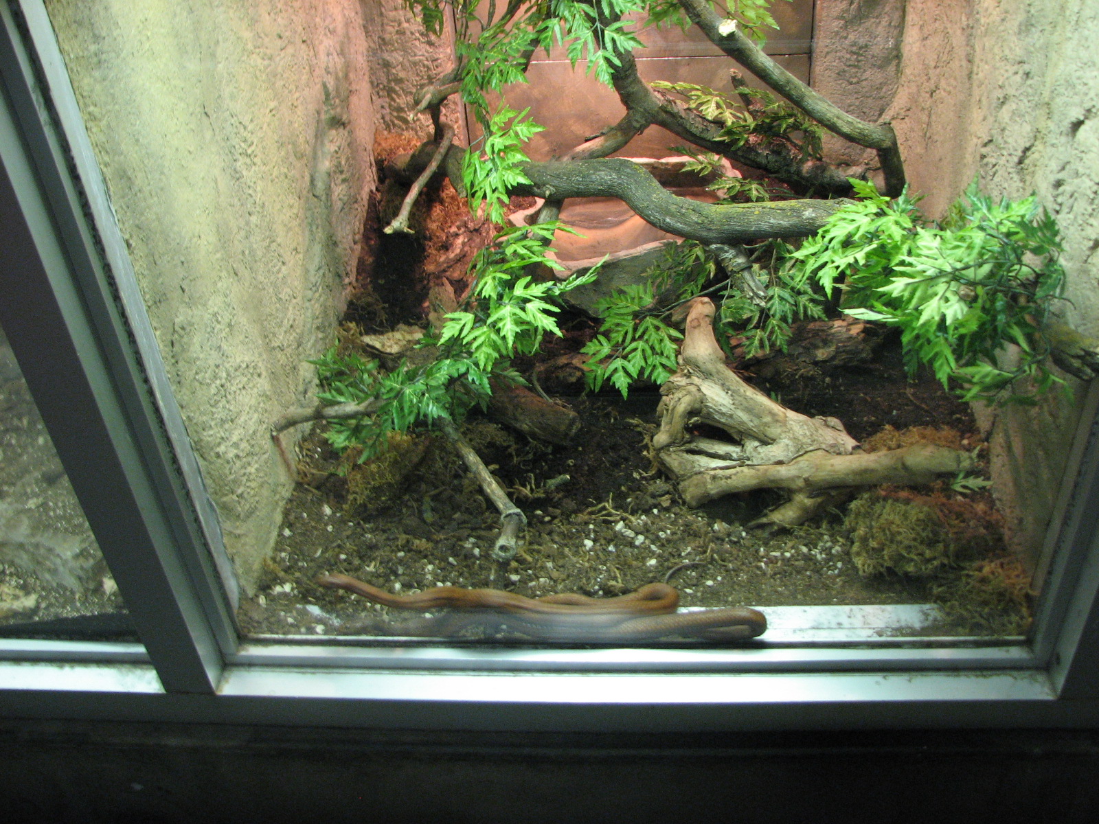 Small Animal Building