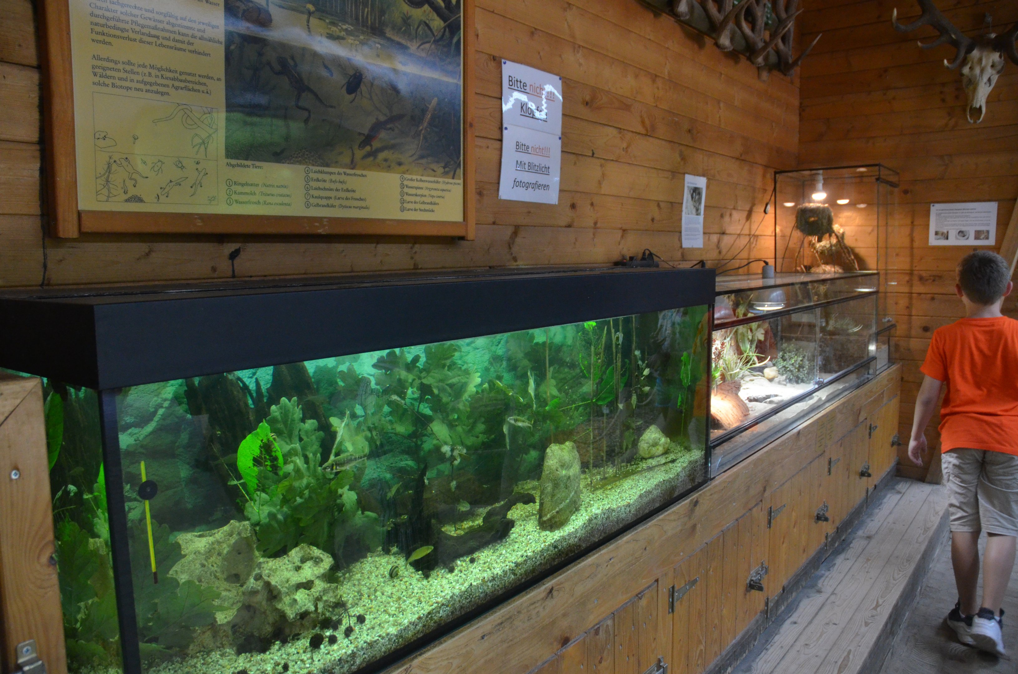 Small Animal Enclosures at Wildpark Grafenberger Wald, 23/06/2019