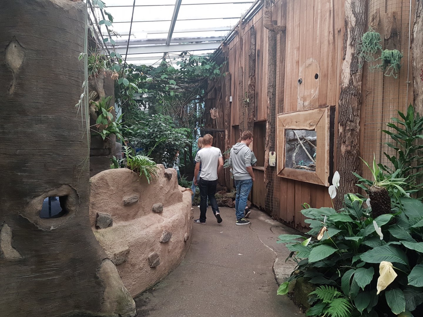 Small animal-enclosures Orangutan-house