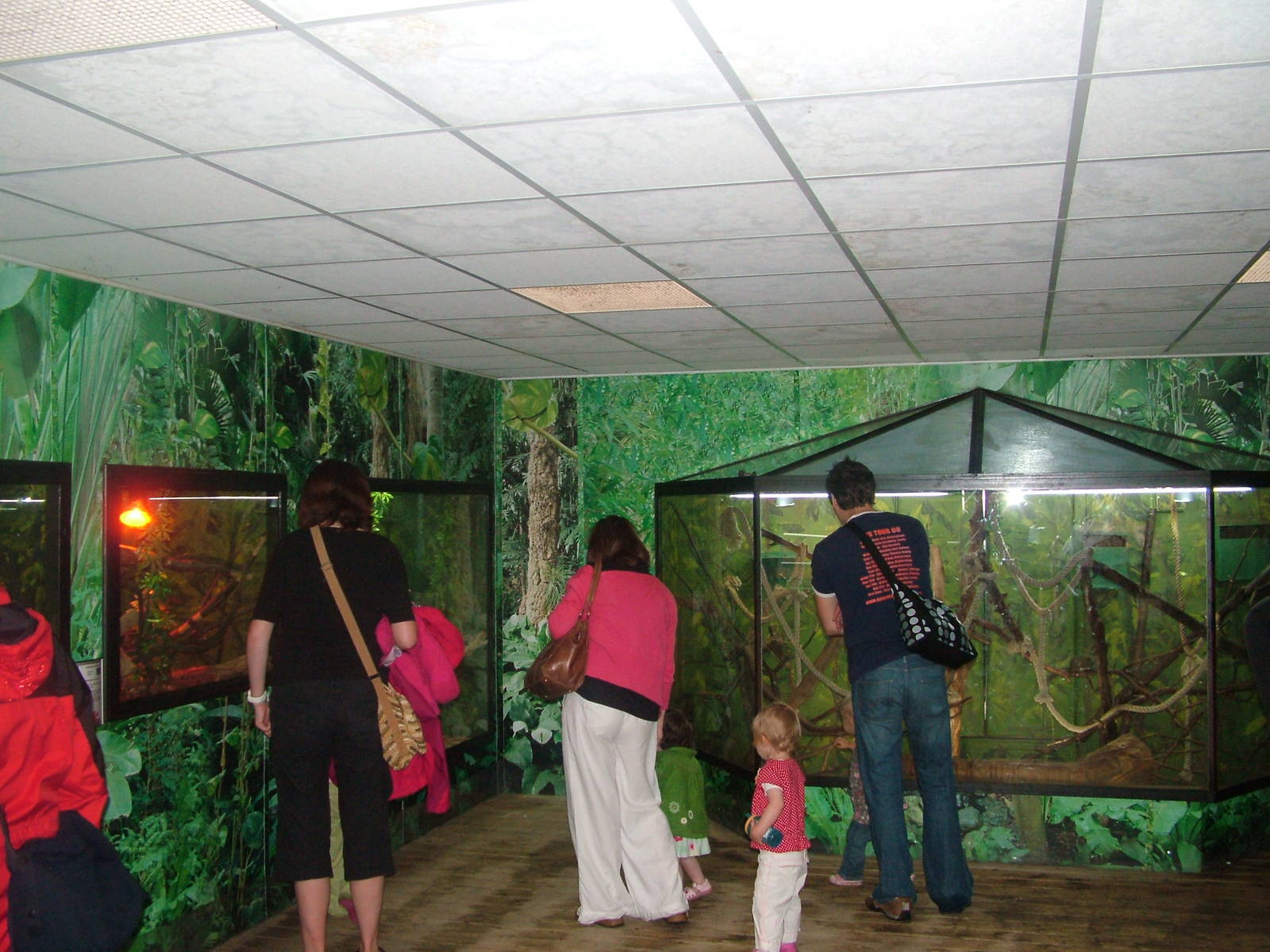 Small animal exhibits at Tropical World 01/08/09