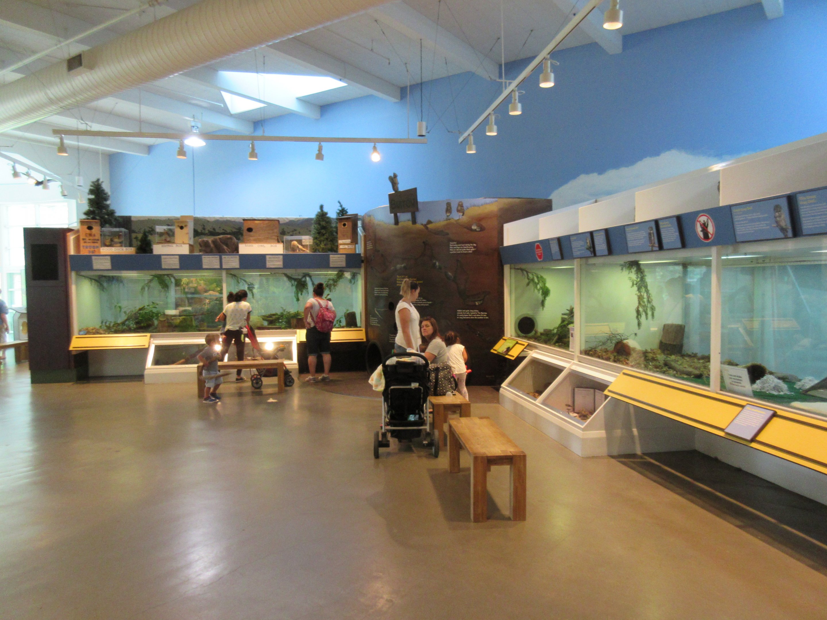 Small Animal Exhibits + Birds of Prey