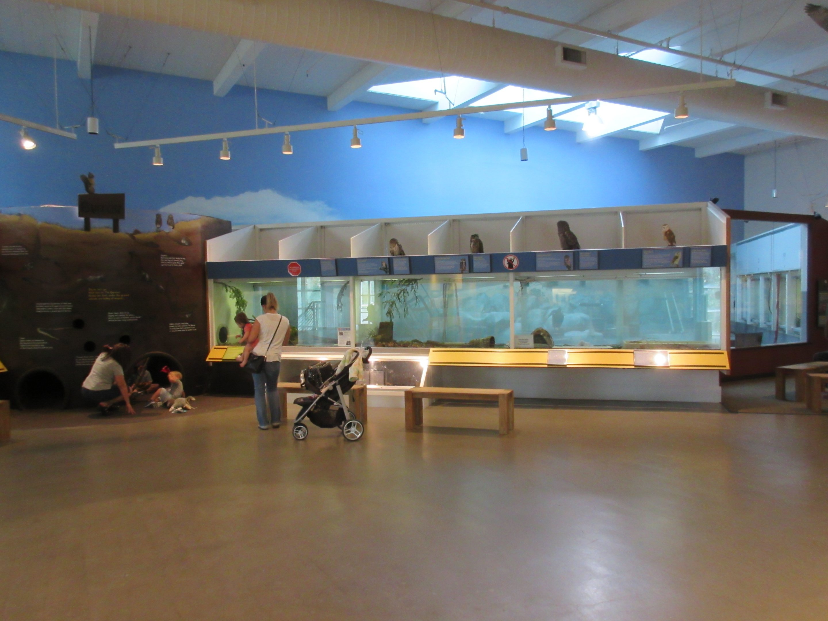 Small Animal Exhibits + Birds of Prey